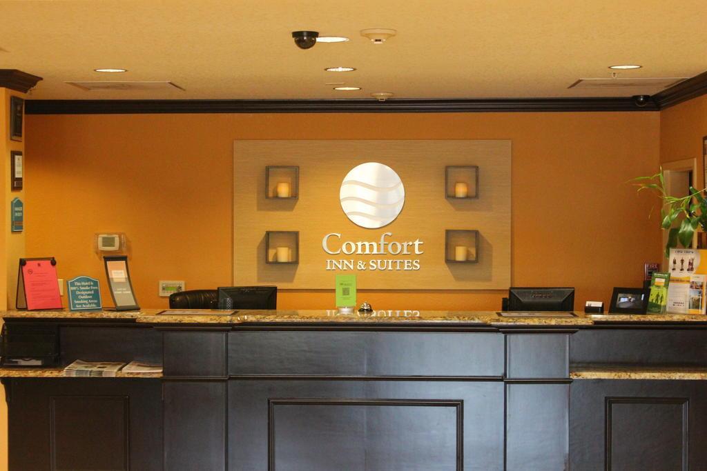 Comfort Inn & Suites Northeast - Gateway St. Petersburg Exterior photo